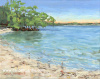 Hickory Island Morning 11x14